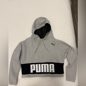 Puma Women's Urban Cropped Hoodie w/dryCELL